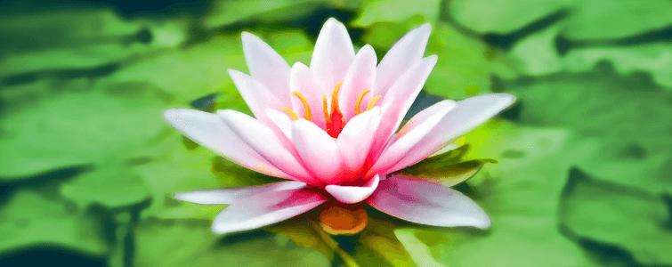 september_tipstegenmalen_0002_Laag-2