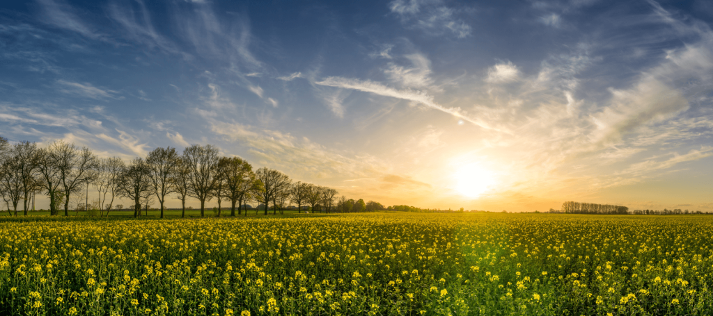 livengo_tipsvoorhetslapen