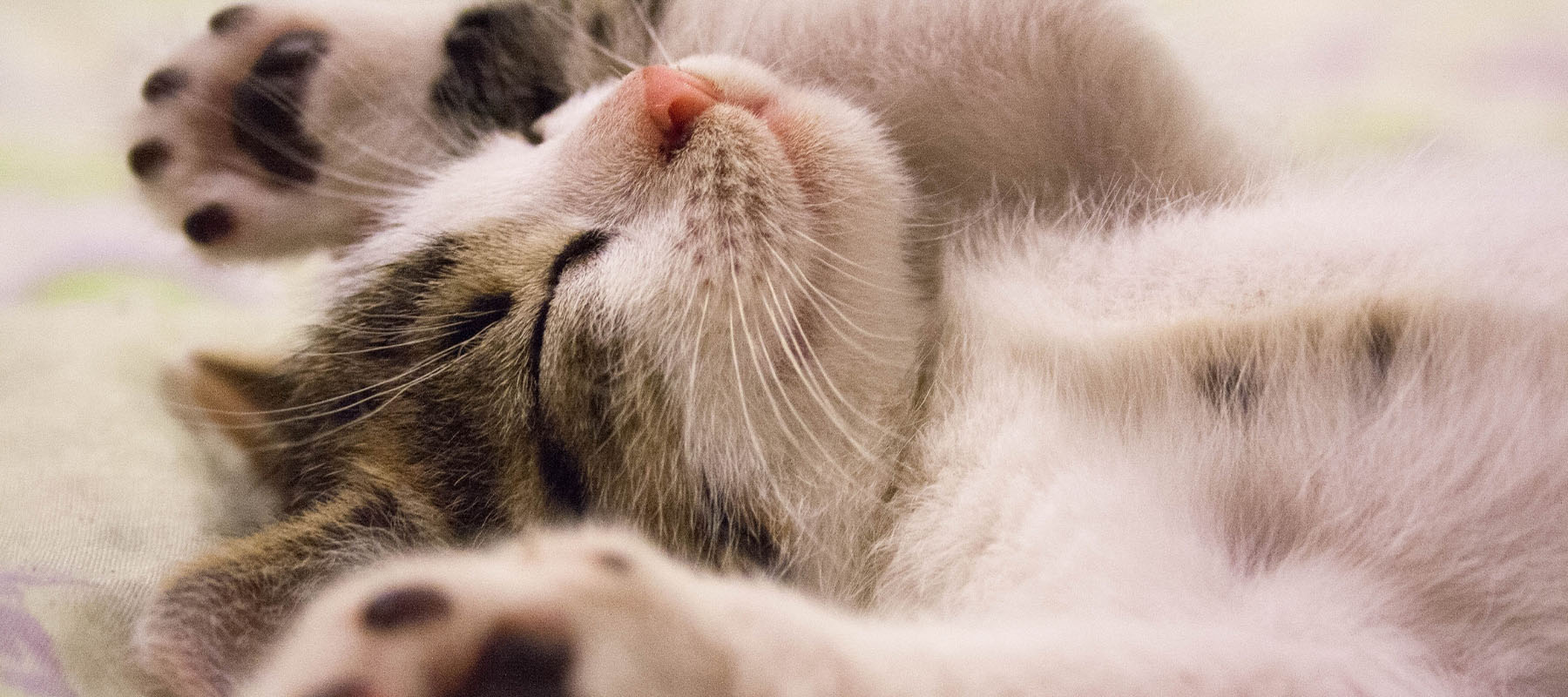 7-Livengo_avondrituelen_voor_effectieve_morgen_wekker-eerder