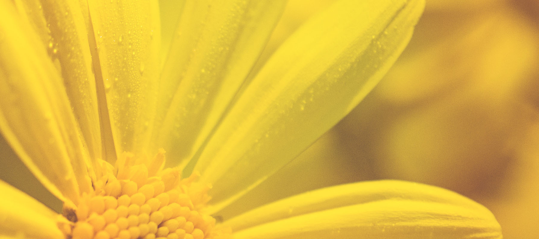 Livengo blog verschonen bed fris